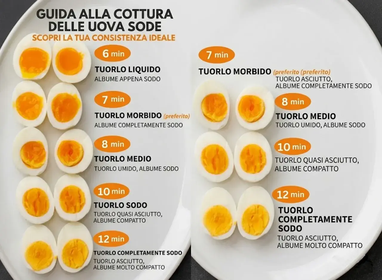 Guide à la cuisson des œufs durs : différentes textures de jaune et de blanc selon le temps de cuisson, de 6 à 12 minutes.
