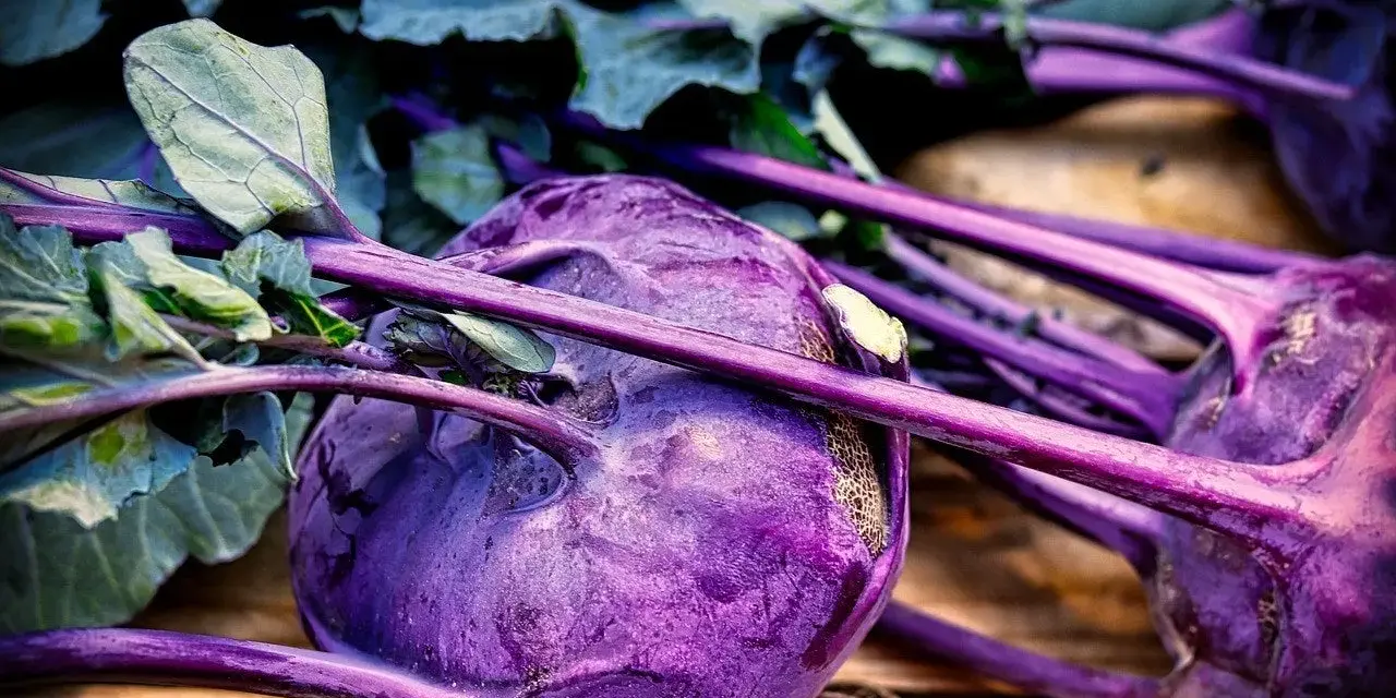 Gros plan sur des choux-raves violets aux tiges et feuilles vertes sur fond de bois.