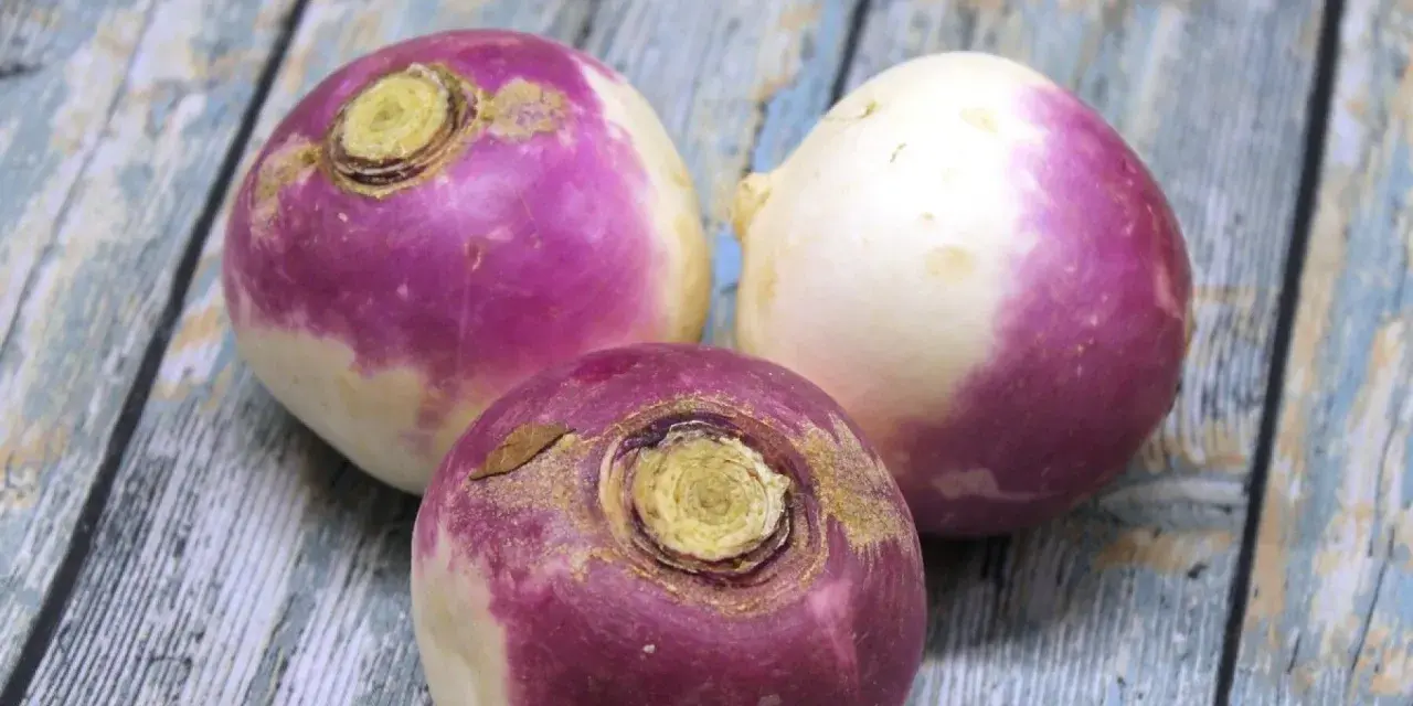 Trois navets violets et blancs sur une table en bois. Parfait pour une recette navet réconfortante.