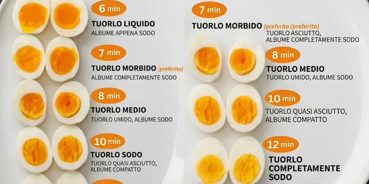 Guide à la cuisson des œufs durs : différentes textures de jaune et de blanc selon le temps de cuisson, de 6 à 12 minutes.