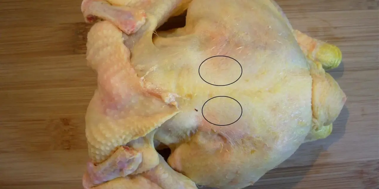 Un poulet cru sur une planche à découper en bois. Deux cercles noirs entourent des zones de chair où l'on voit des fibres musculaires. On dirait que le sot l'y laisse.