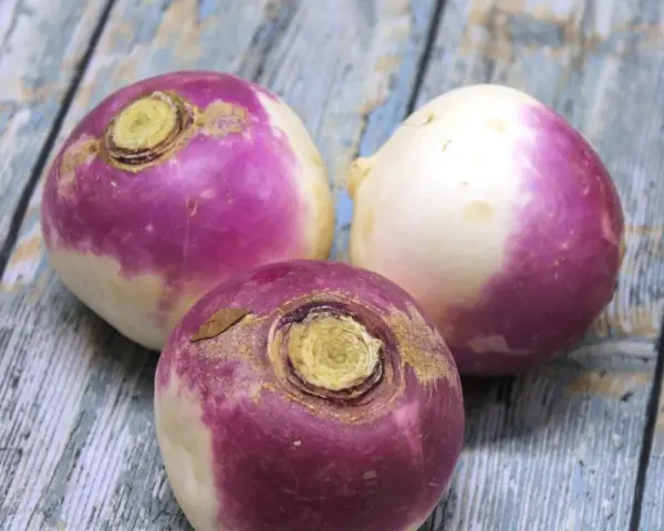 Trois navets violets et blancs sur une table en bois. Parfait pour une recette navet réconfortante.