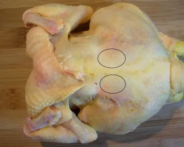Un poulet cru sur une planche à découper en bois. Deux cercles noirs entourent des zones de chair où l'on voit des fibres musculaires. On dirait que le sot l'y laisse.