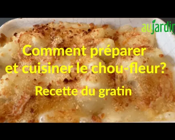 Un plat réconfortant de gratin de chou-fleur, doré et croustillant, prêt à être dégusté.