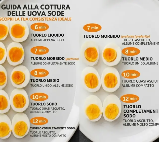 Guide à la cuisson des œufs durs : différentes textures de jaune et de blanc selon le temps de cuisson, de 6 à 12 minutes.