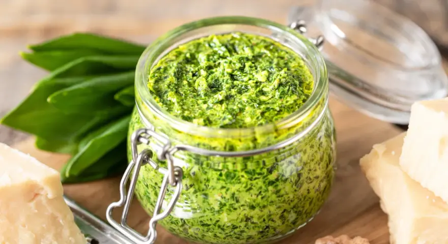Pesto d'ail des ours dans un bocal, avec des feuilles fraîches, du parmesan et des noix. Une recette maison facile à réaliser.