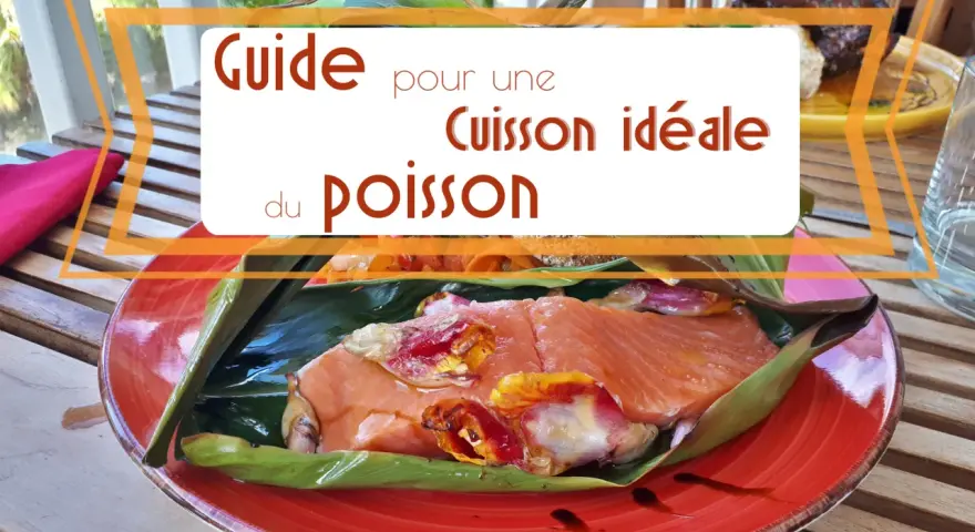 Guide pour une cuisson idéale du poisson. Un filet de saumon cru, garni de légumes, est enveloppé dans des feuilles vertes sur une assiette rouge.