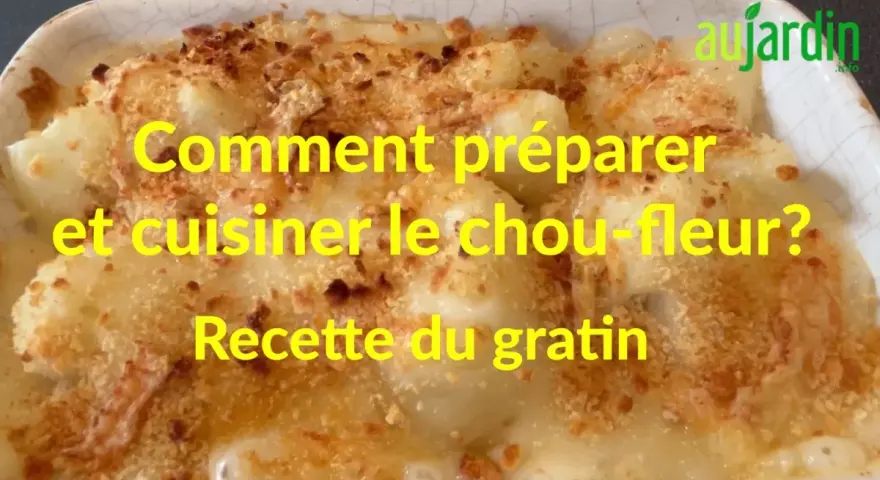Un plat réconfortant de gratin de chou-fleur, doré et croustillant, prêt à être dégusté.