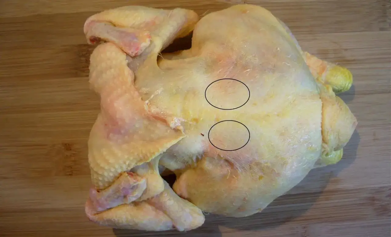 Un poulet cru sur une planche en bois. Deux zones sont entour&eacute;es, montrant des fibres musculaires. On dirait que le sot l'y laisse est bien visible.